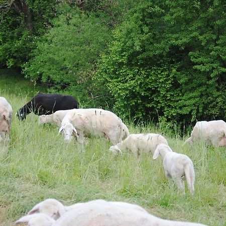 Landgasthof Seyrlberg Reichenau im Mühlkreis Esterno foto