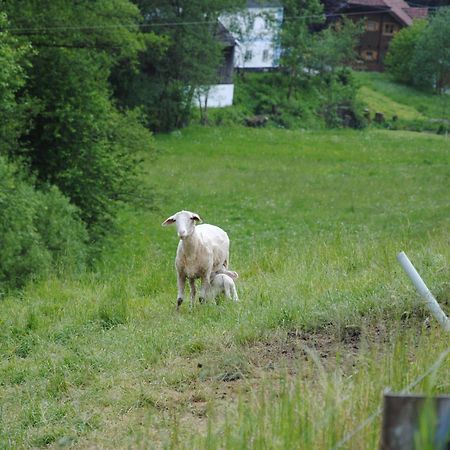 Landgasthof Seyrlberg Reichenau im Mühlkreis Esterno foto