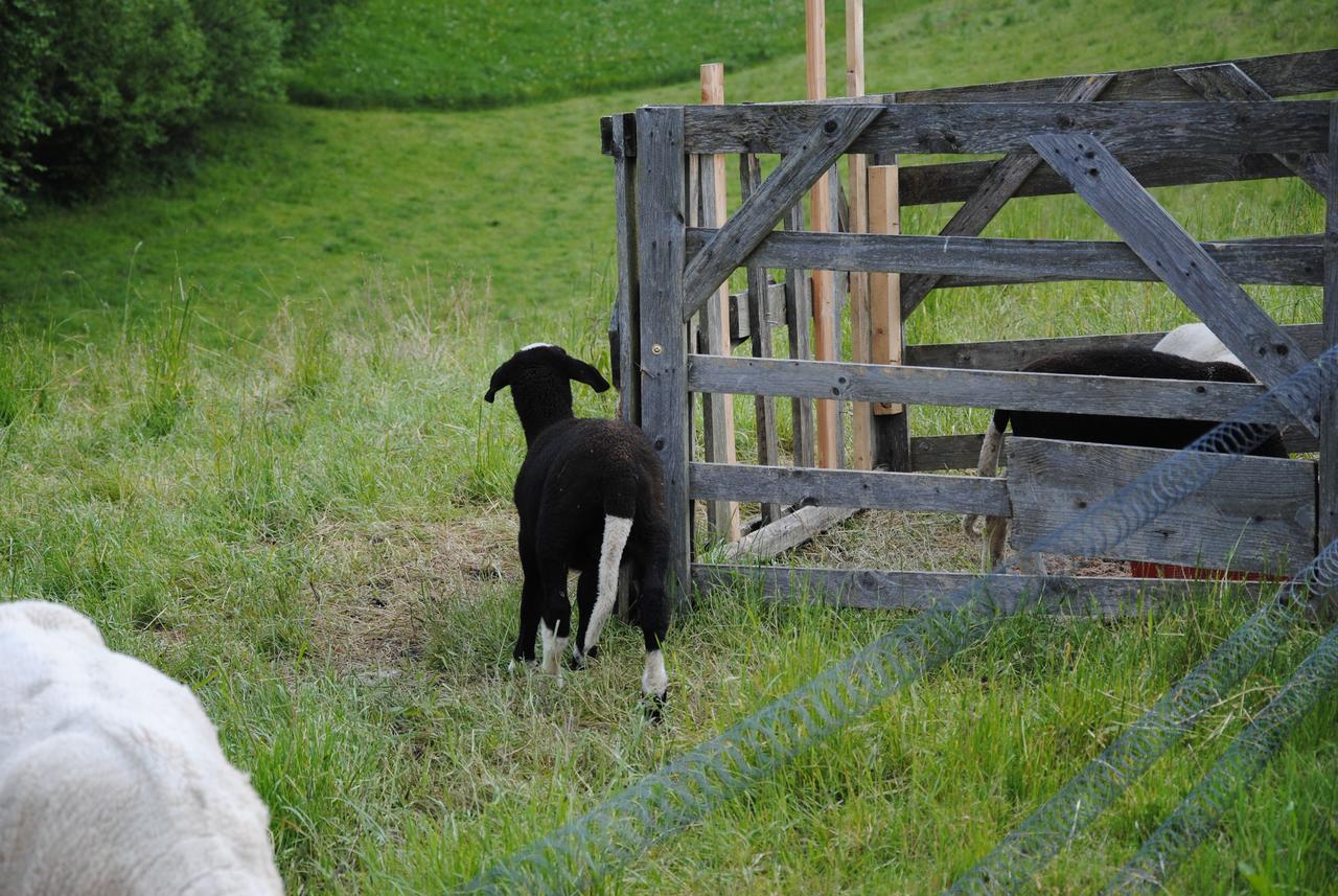Landgasthof Seyrlberg Reichenau im Mühlkreis Esterno foto