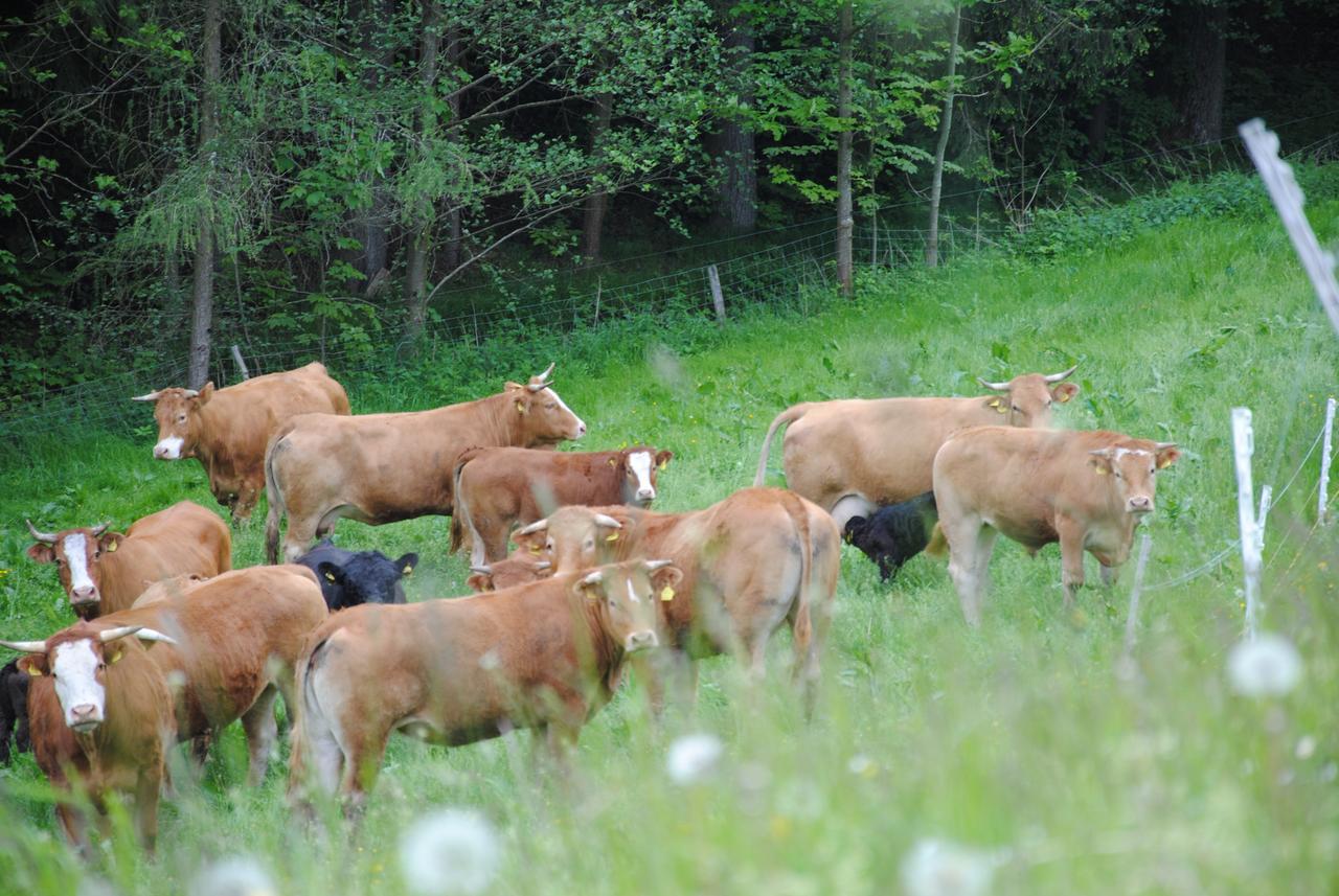 Landgasthof Seyrlberg Reichenau im Mühlkreis Esterno foto